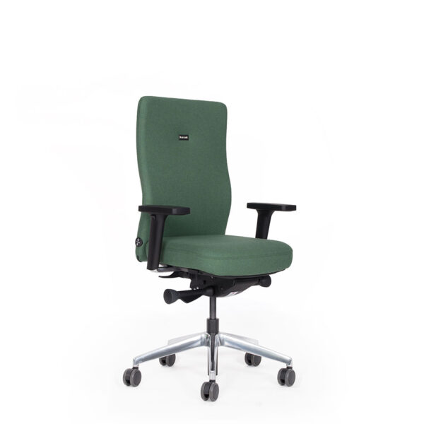 Gesamtaufnahme perspektivisch ergonomischer Bürostuhl grün in Stoff