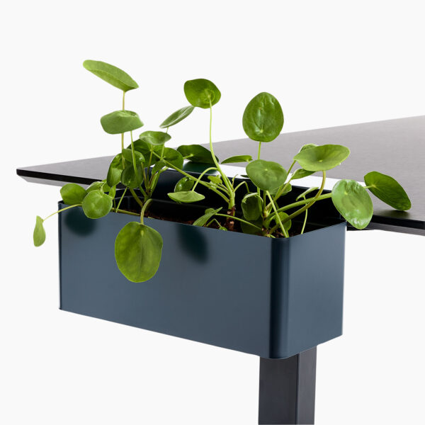 lento Schreibtischzubehör: Blumenbox blau zur Montage am Schreibtisch