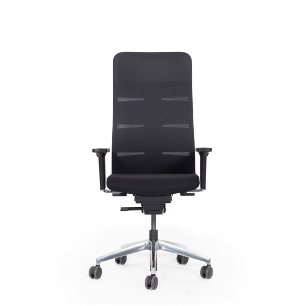 Abbildung: ergonomischer Bürostuhl mit Segment-Rückenlehne schwarz, hoch mit Aufsatz, mit integrierter Lordosenstütze (höhenverstellbar) und flexiblem Schulter-bereich, frei bewegliche Sitzneige nach vorn, stufenlos, gedämpft, 10 Jahre Garantie, TÜV GS u. Test sehr gut