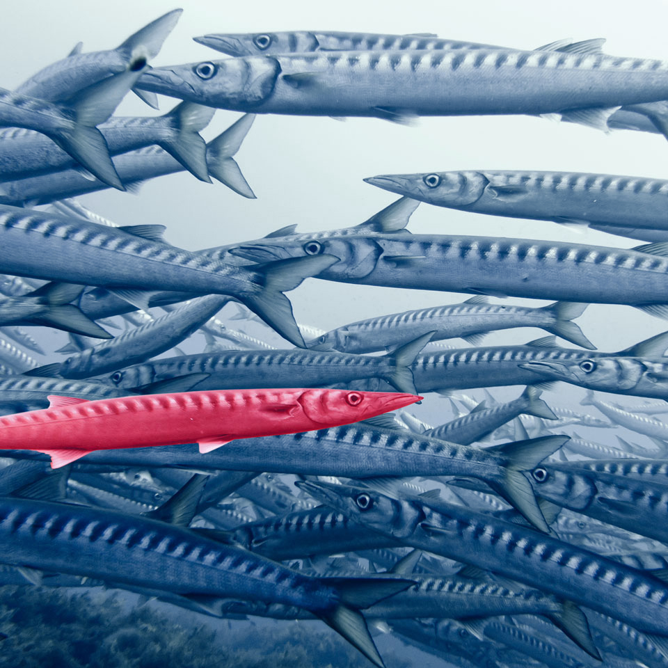 lento Büromöbel & Bürostühle Abschreibung Leasing Alternative